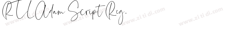 RTL Adam Script Reg字体转换
